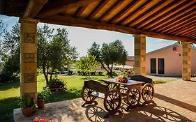 Agriturismo Airone