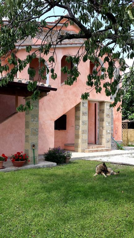 Agriturismo Airone Pitigliano Extérieur photo
